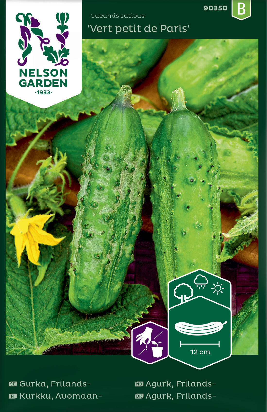 Drueagurk 'Vert petit de Paris'